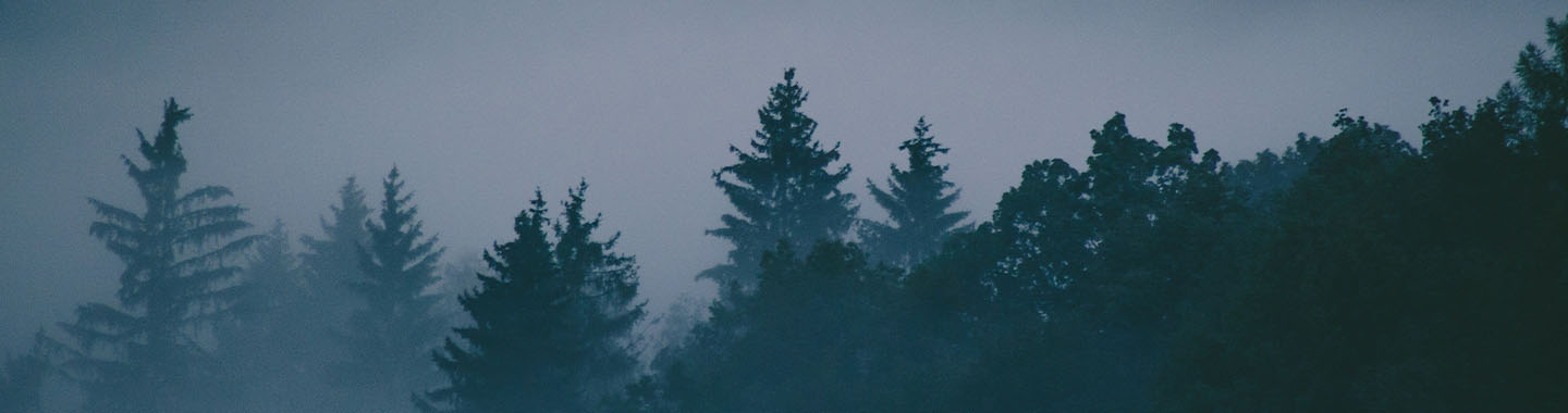 Q2 2025 earnings for the top payors: the managed care mirage gets murkier